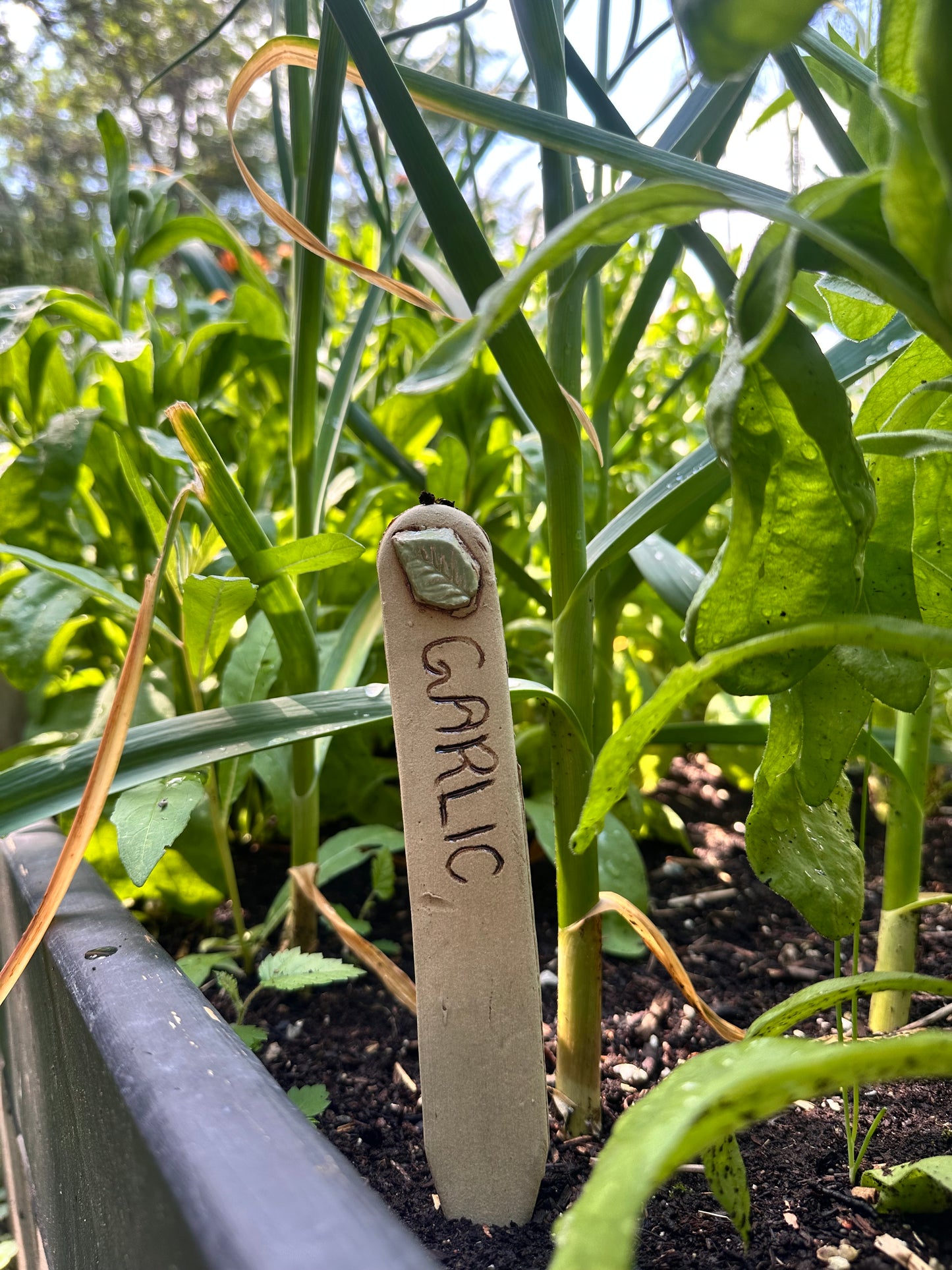 Garden Plant Label Set