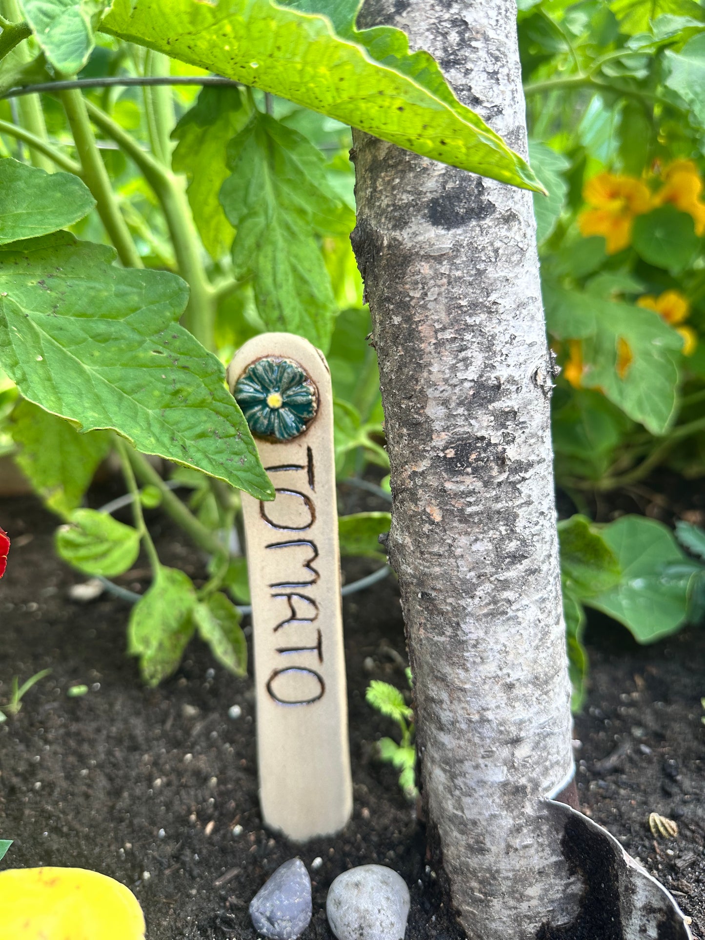 Garden Plant Label Set
