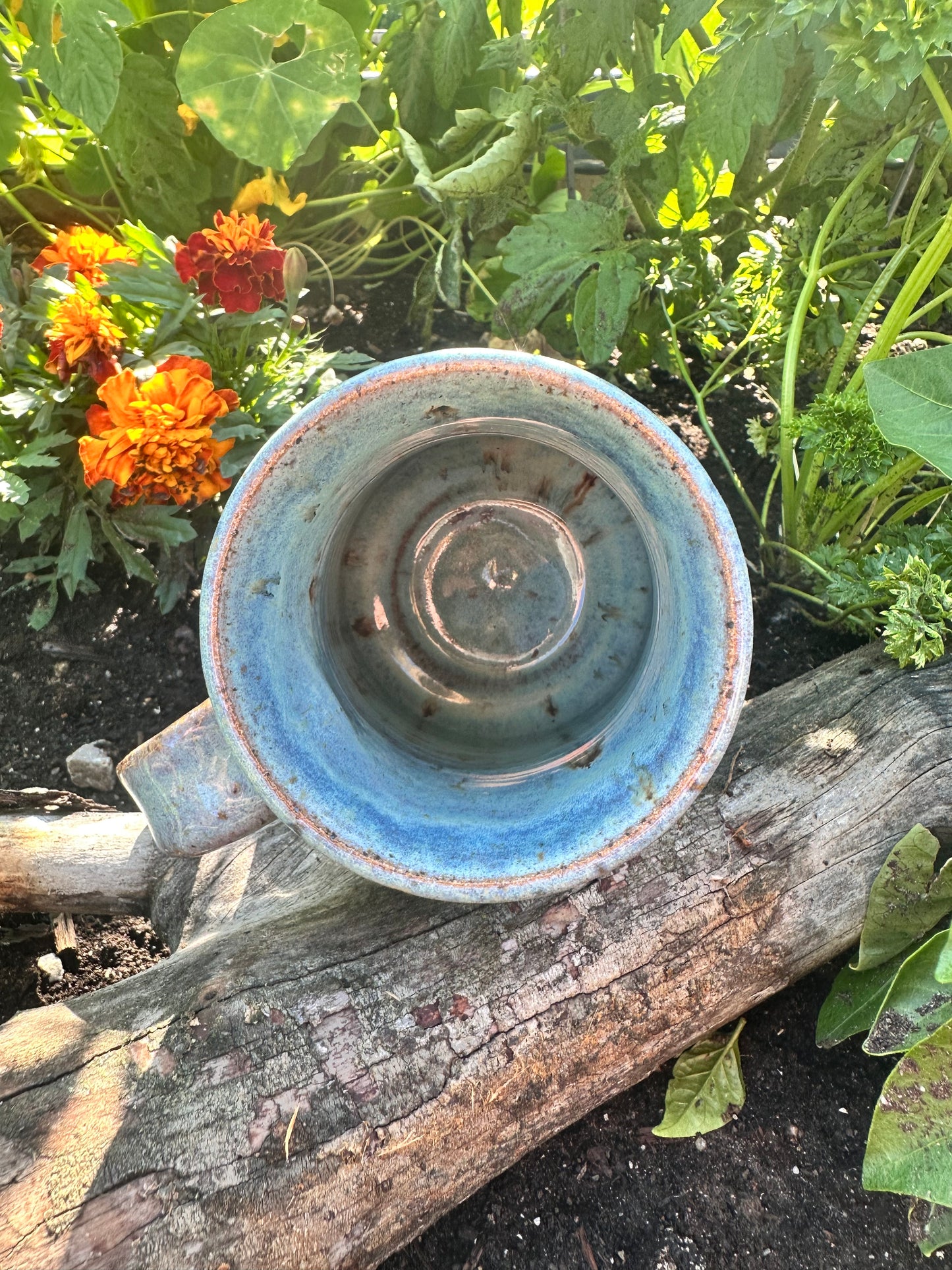 Handmade Ceramic 18 oz Blue Horse Mug