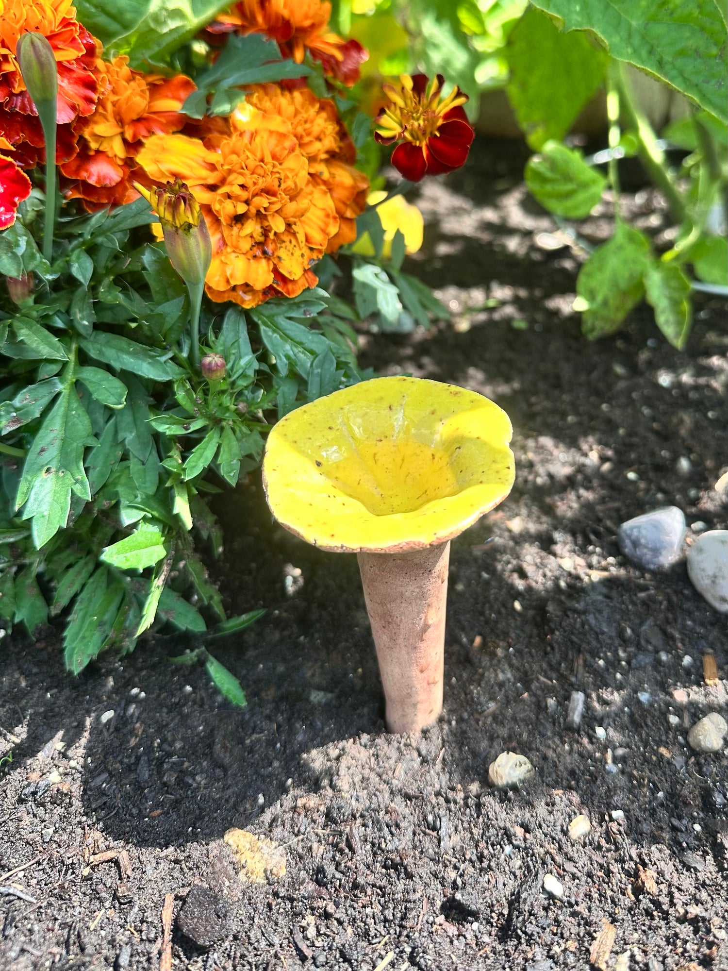 Whimsical Natureware