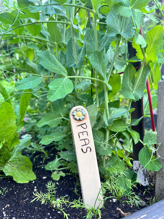 Garden Plant Label Set