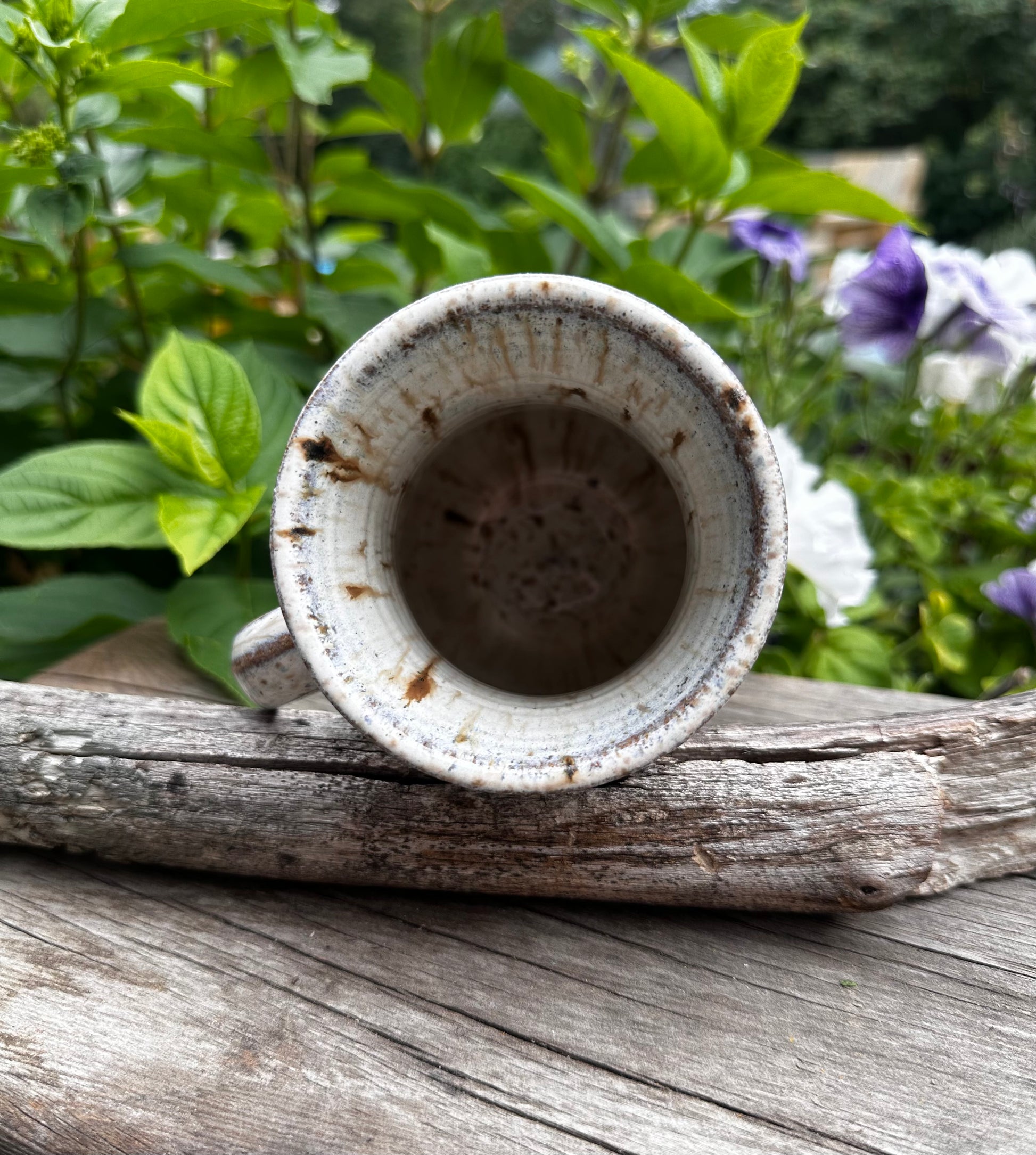 A handmade ceramic mug with a rustic, distressed finish, shown from a top-down perspective resting on a weathered piece of driftwood with green garden foliage in the background.