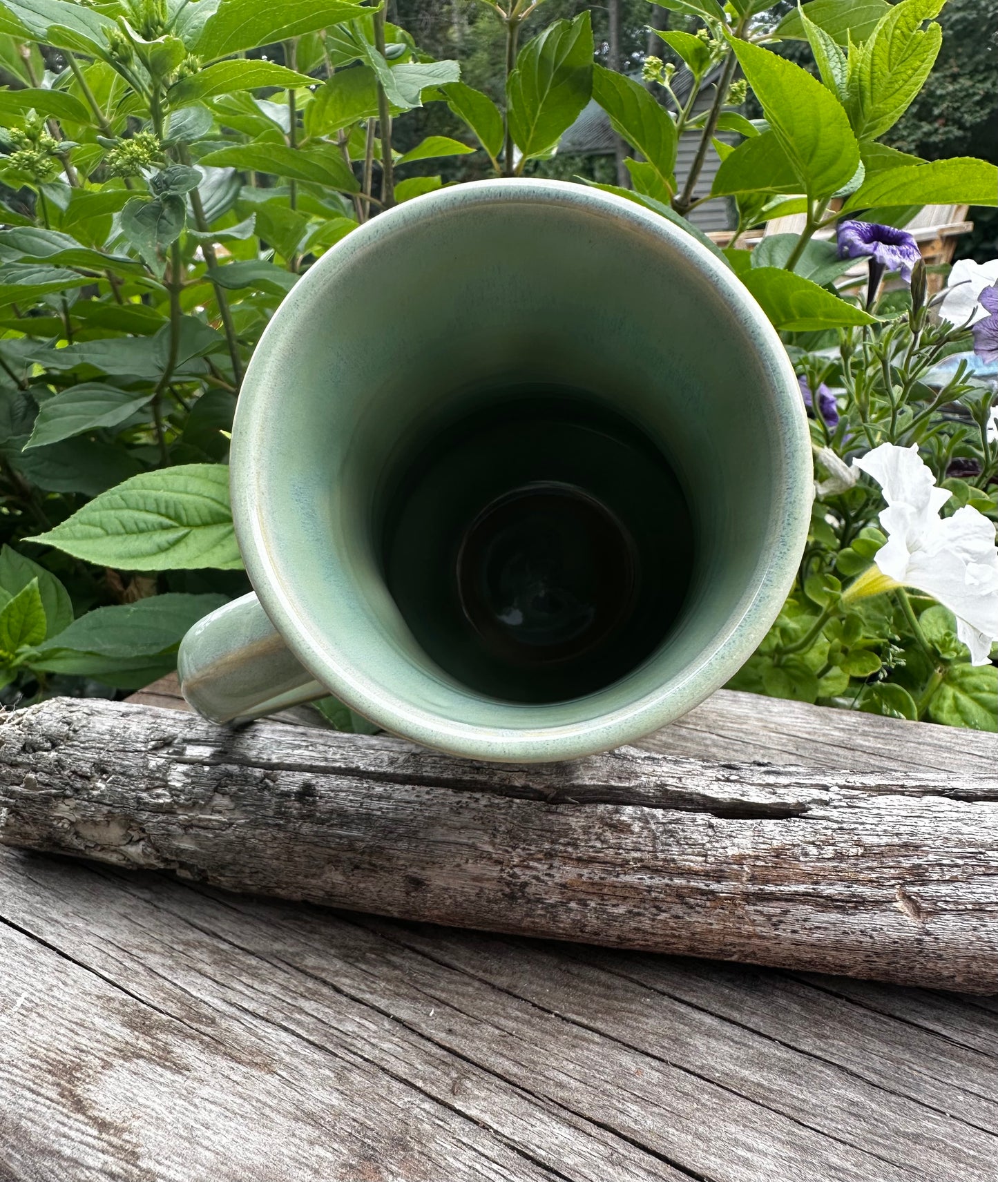 A light green ceramic mug with a wide, flared rim sits on a weathered wooden log outdoors, surrounded by green garden foliage and flowers.